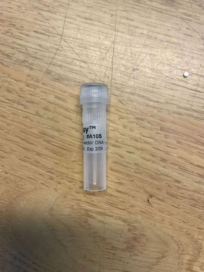 ProEasy. Vector for easy construction of E. coli Rec. baculoviruses - 25 ul