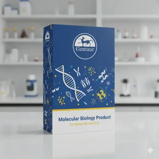 [0556-N15-MBC014] Amplirun® Coccidioides Immitis DNA Control 10,000-20,000 c/µl